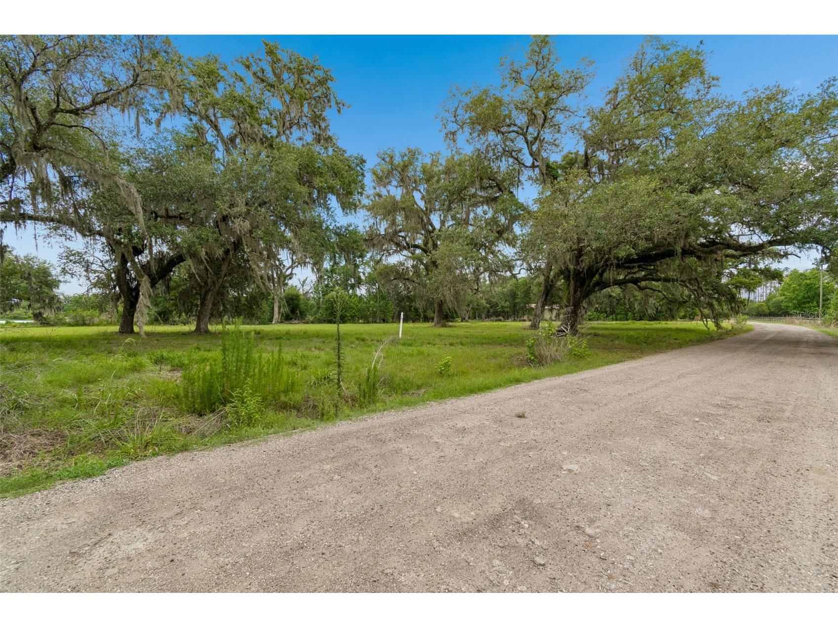 000 Palomino Lakes Dr Dade City FL 33523 TB8504791 image30