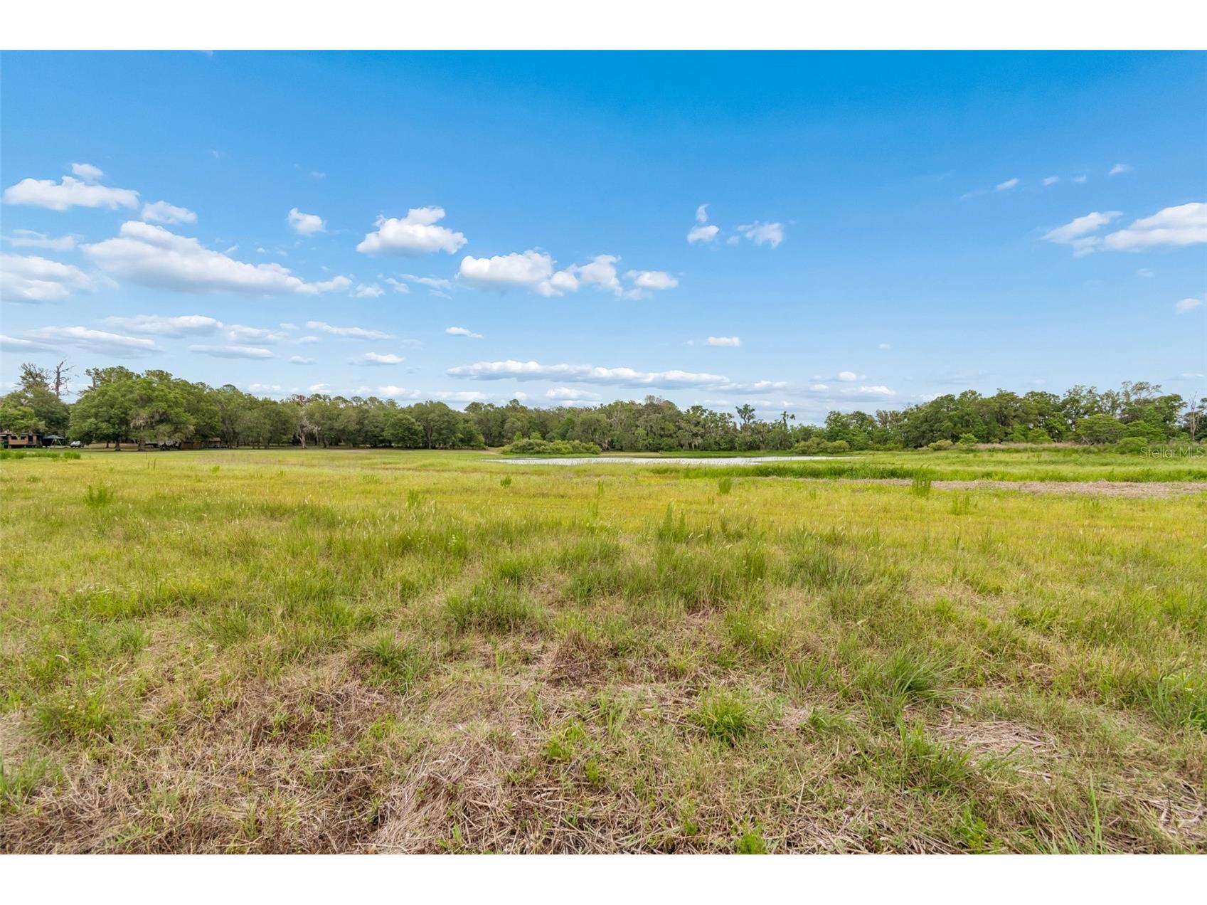 000 Palomino Lakes Dr Dade City FL 33523 TB8504791 image32