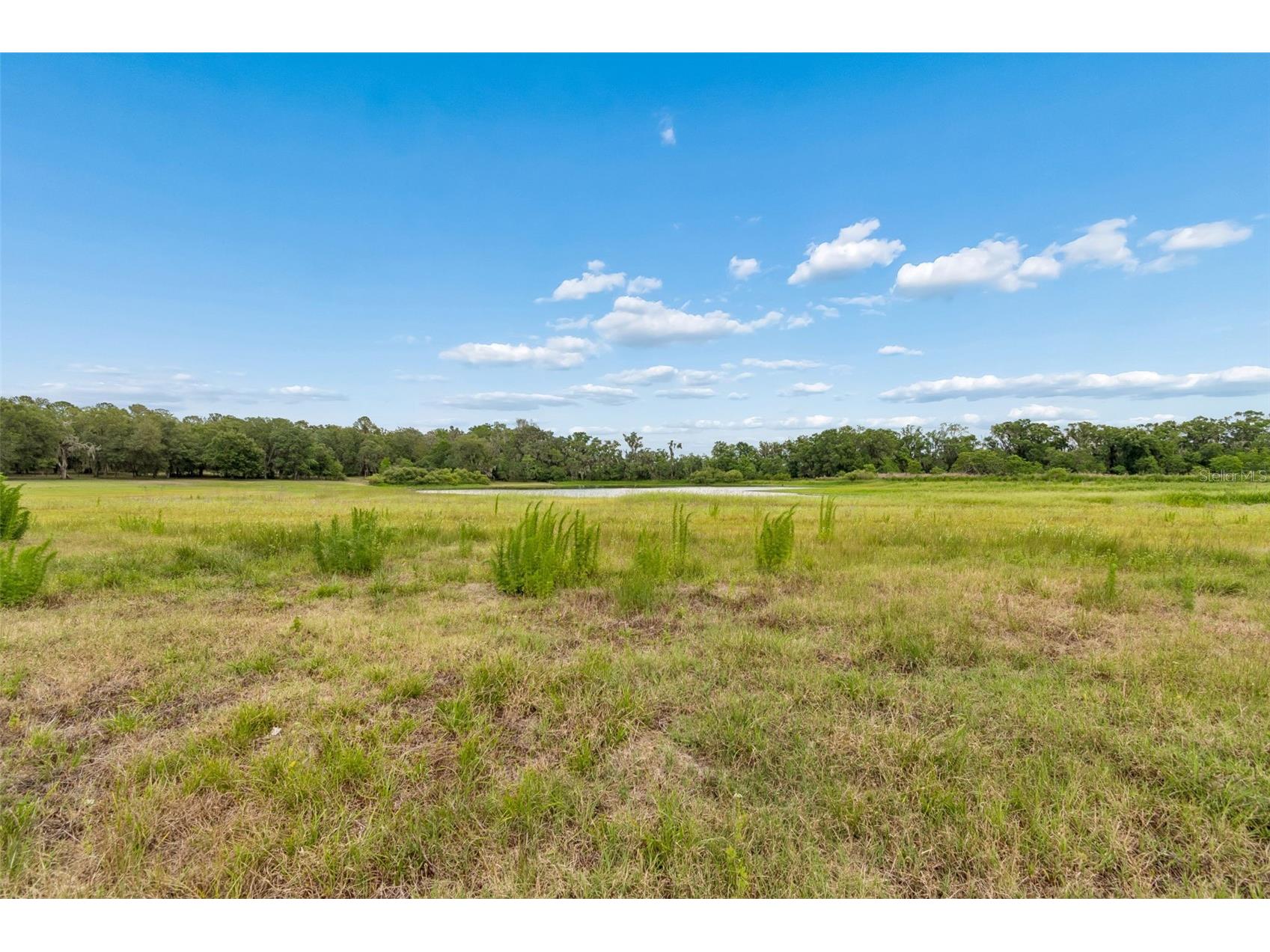 000 Palomino Lakes Dr Dade City FL 33523 TB8504791 image33