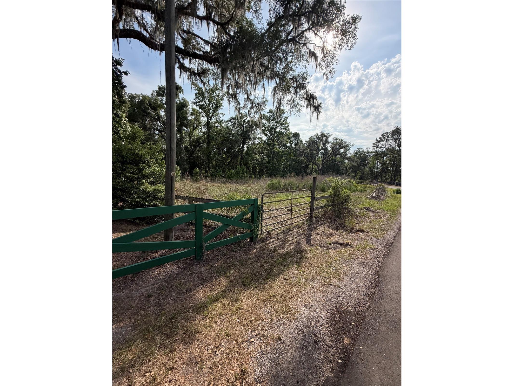 000 Palomino Lakes Dr Dade City FL 33523 TB8504791 image6
