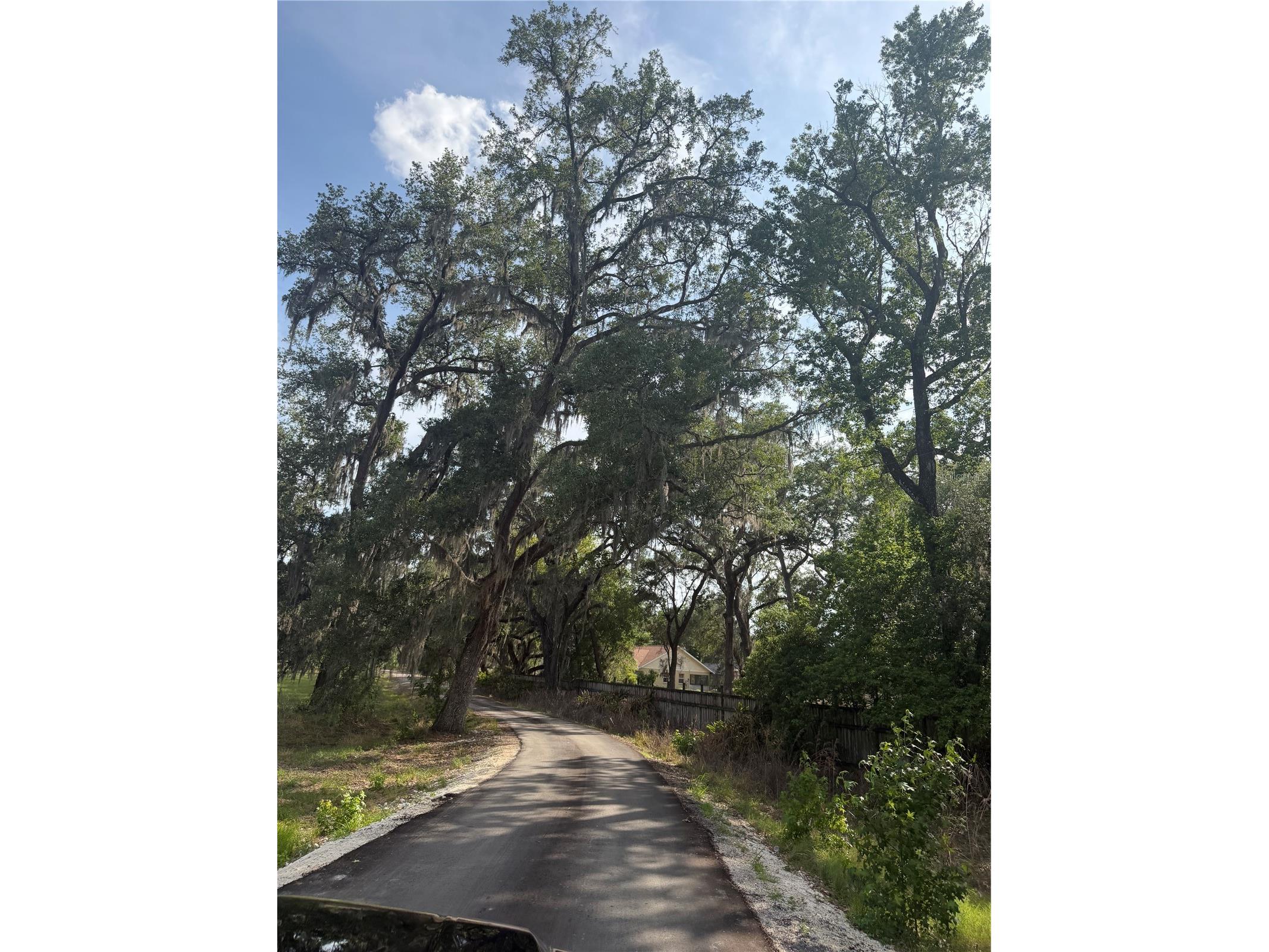 000 Palomino Lakes Dr Dade City FL 33523 TB8504791 image8