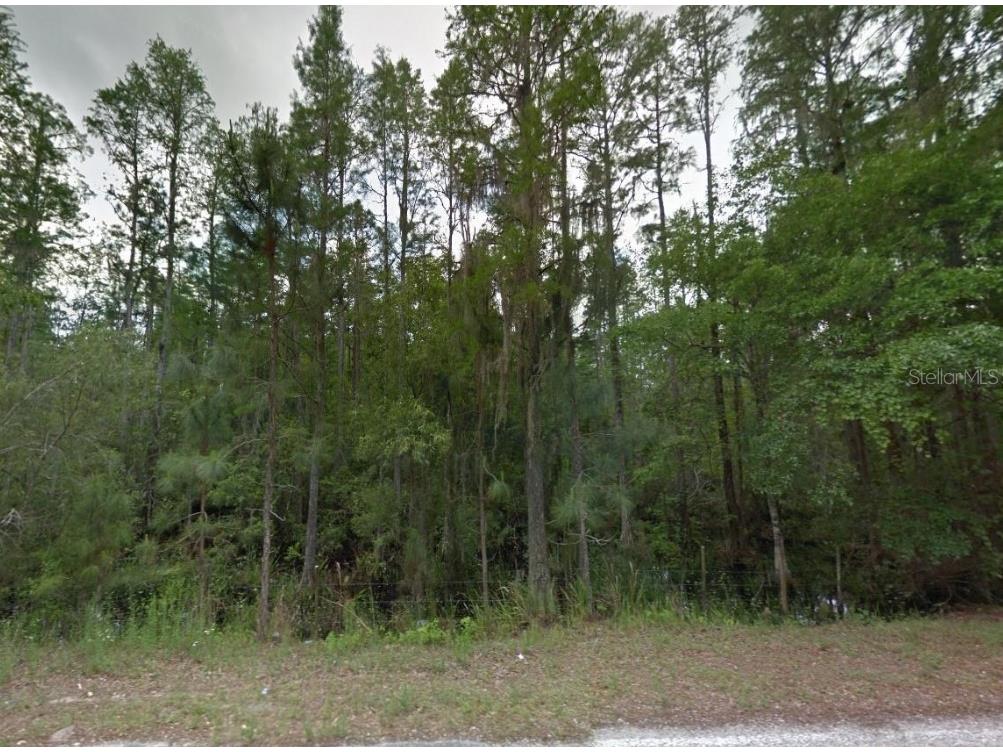 000 Poyner Road Polk City FL 33868 O6361173 image12
