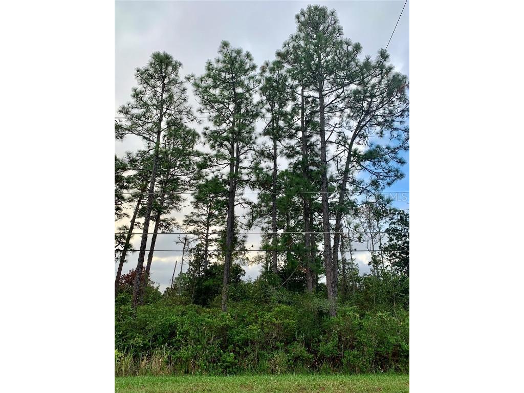 000 Ralston Street Orlando FL 32833 O6158406 image1