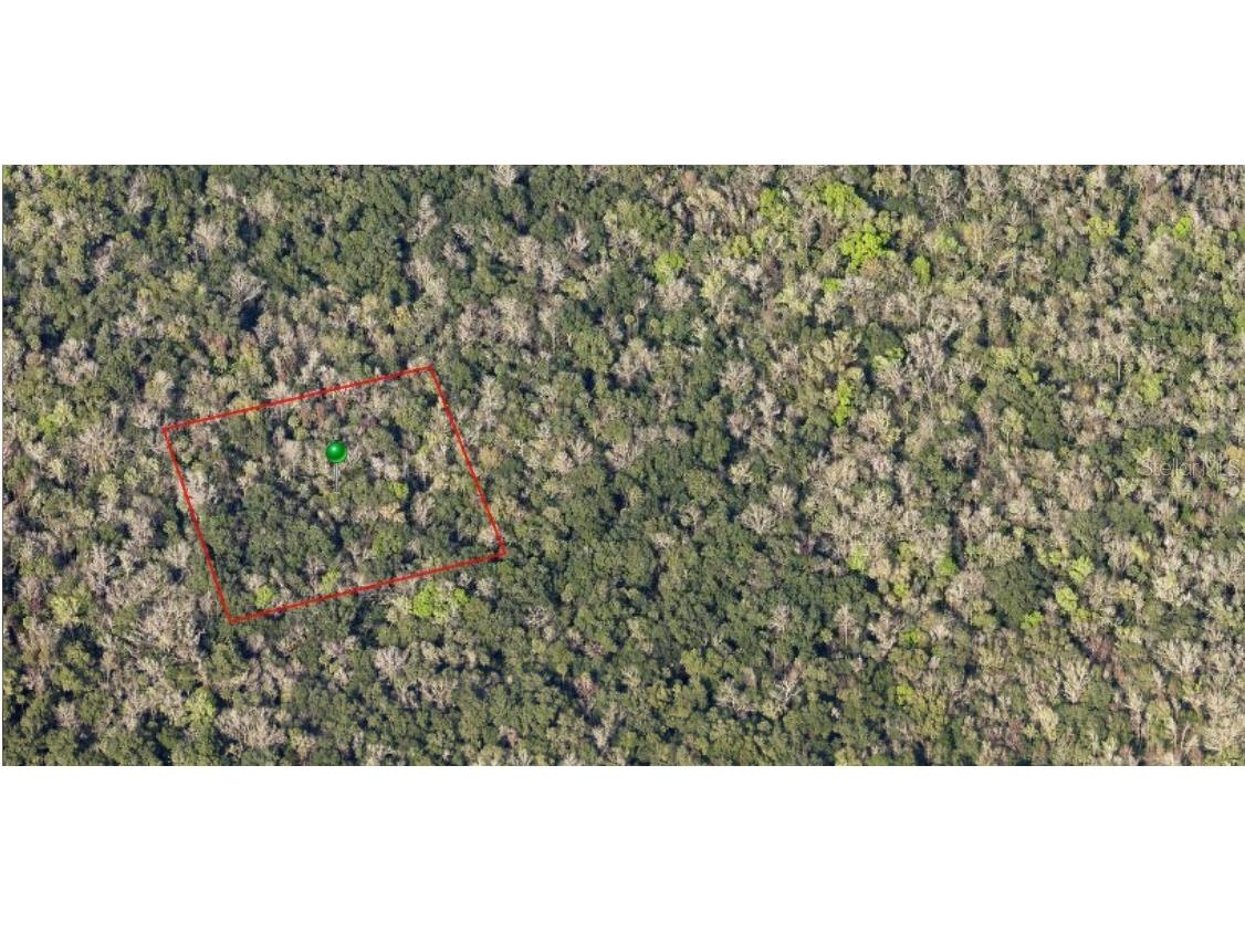 000 Reed Grove Road Oak Hill FL 32759 FC314804 image1