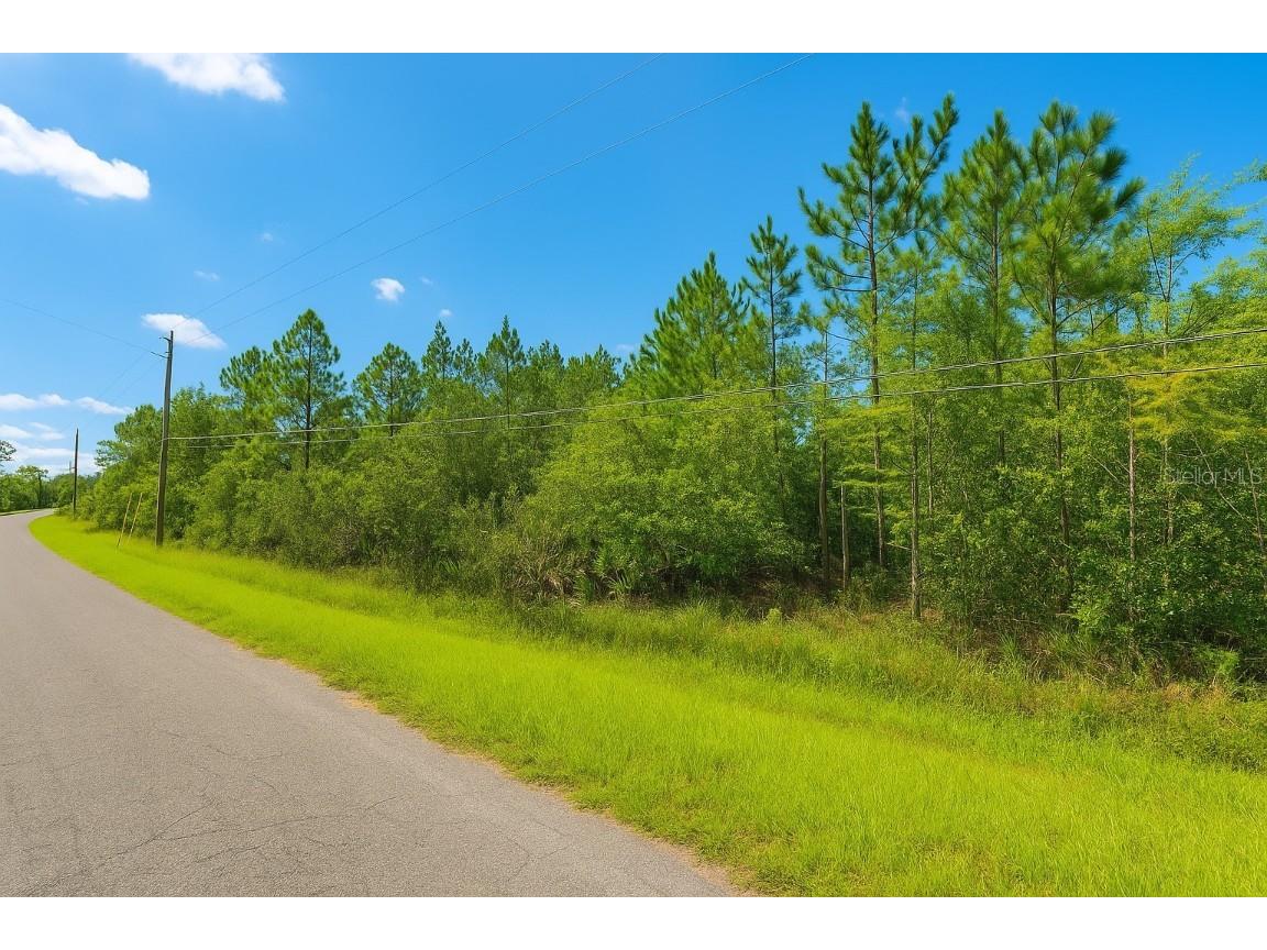 000 Robertson Street Orlando FL 32833 O6364264 image1