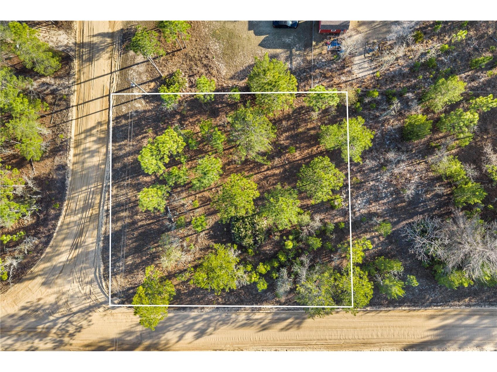 000 Rose Street Interlachen FL 32148 OM720012 image11
