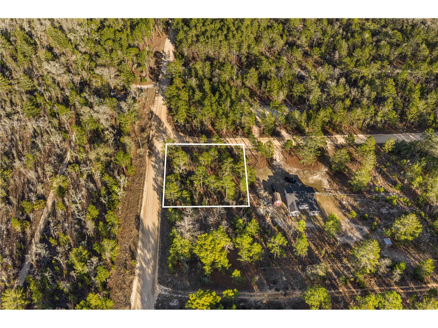 000 Rose Street Interlachen FL 32148 OM720012 image2