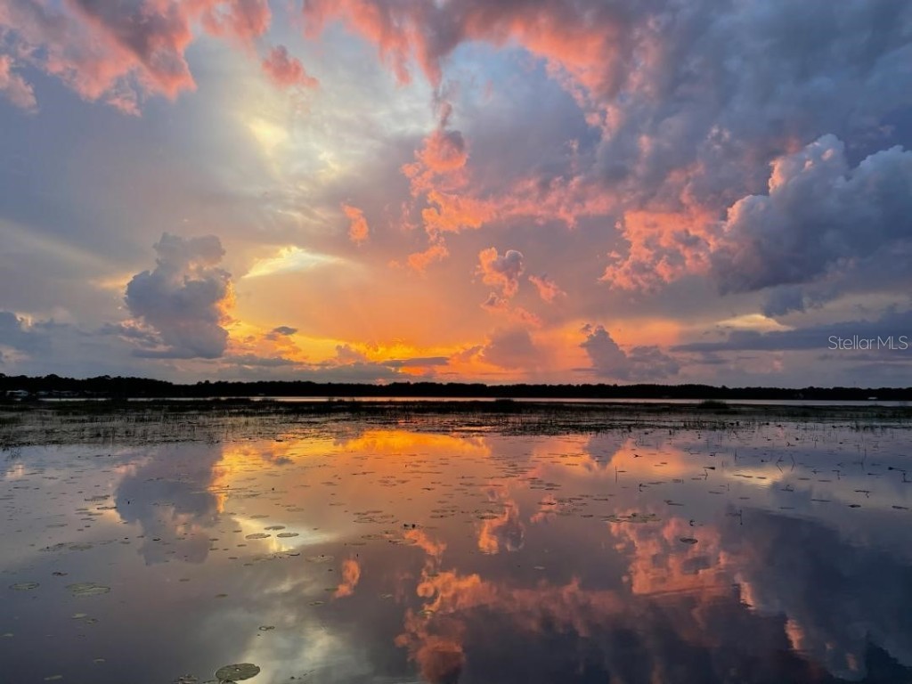 000 Se 118th Lane Belleview FL 34420 OM696975 image13