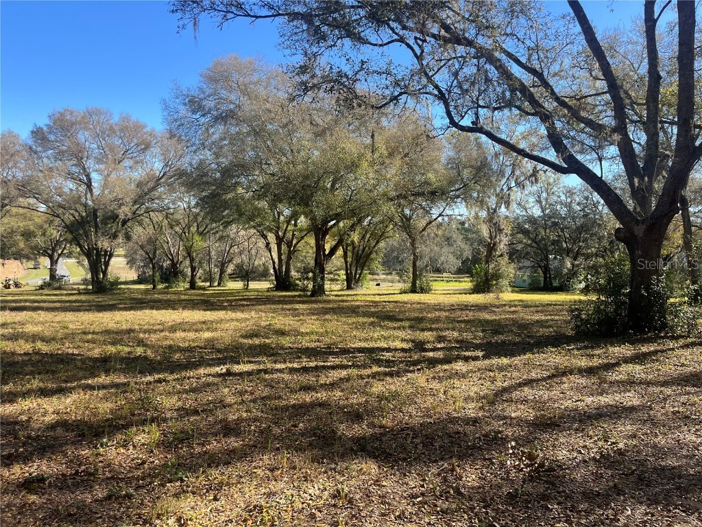 000 Se 118th Lane Belleview FL 34420 OM696975 image5