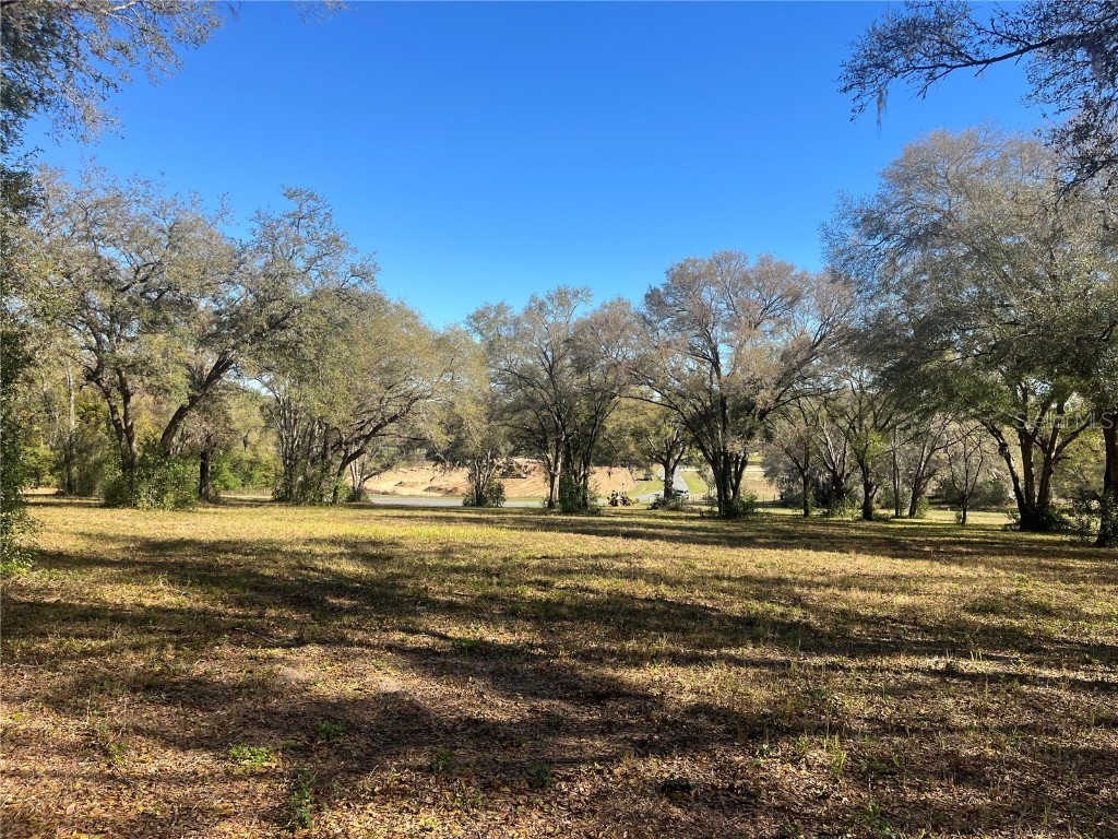 000 Se 118th Lane Belleview FL 34420 OM696975 image6