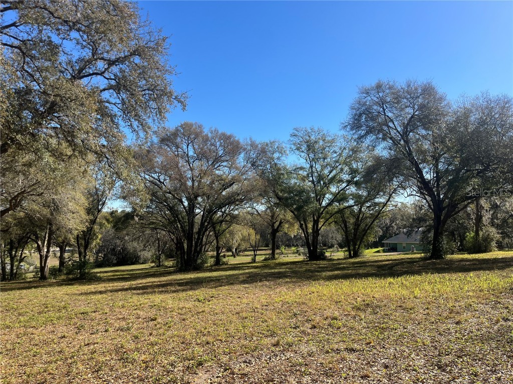 000 Se 118th Lane Belleview FL 34420 OM696975 image7