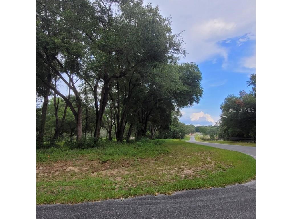 000 Se 118th Lane Belleview FL 34420 OM696975 image8