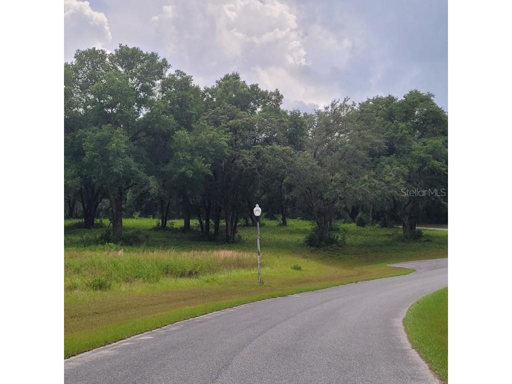 000 Se 118th Lane Belleview FL 34420 OM696975 image9