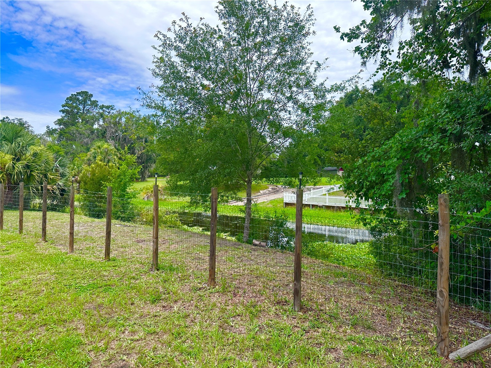 000 SE 197th Place Inglis FL 34449 OM725956 image5