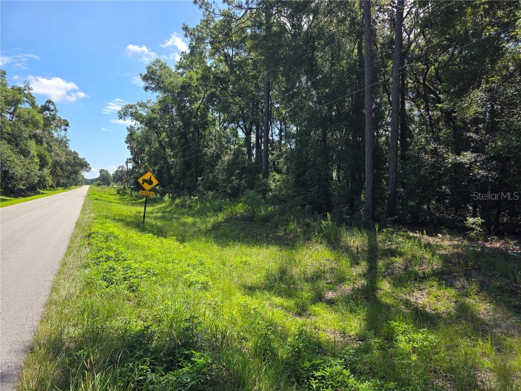 000 SE 32 Place Morriston FL 32668 OM706189 image1