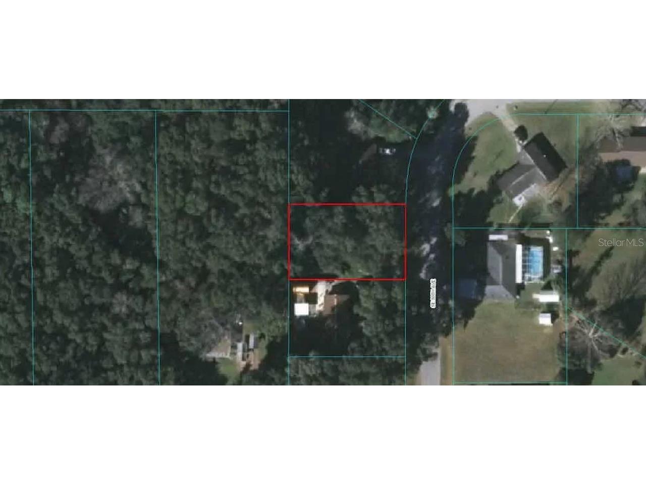 000 Se 50th Ave Belleview FL 34420 O6196393 image1