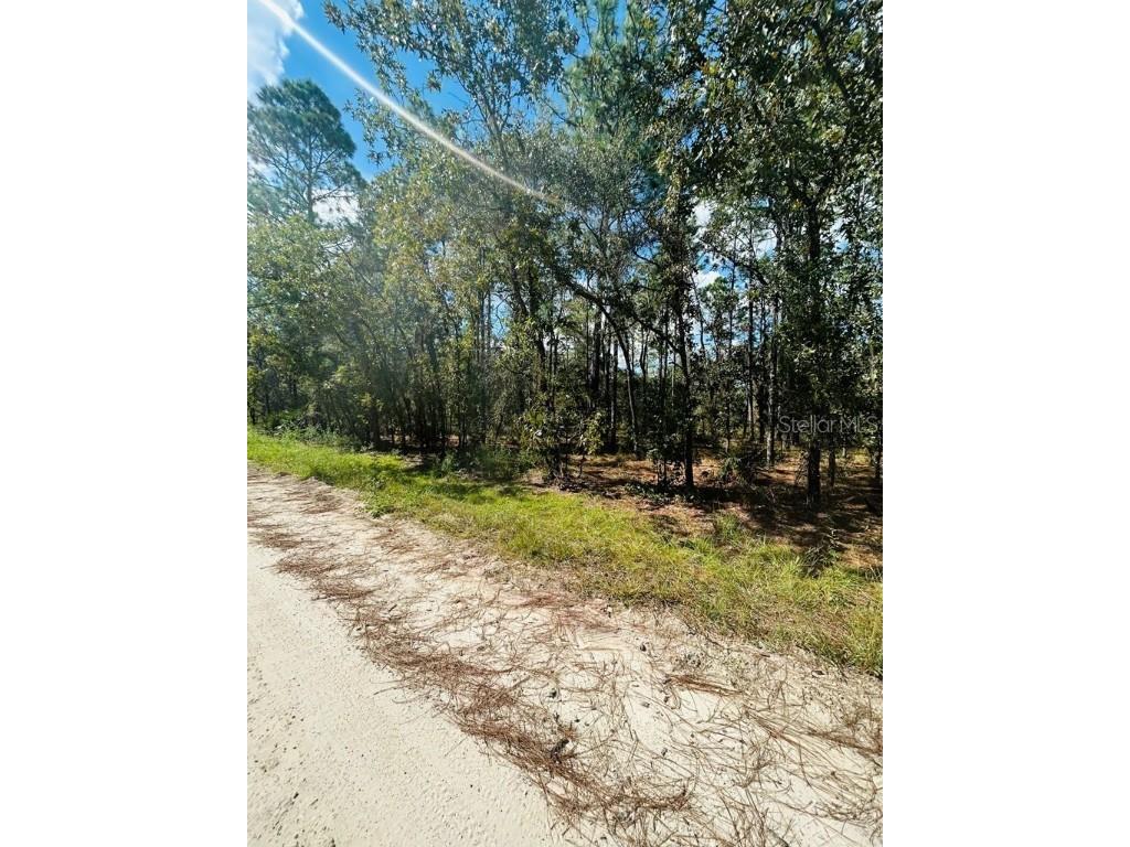 000 SE 55th Ln Morriston FL 32668 GC516926 image1