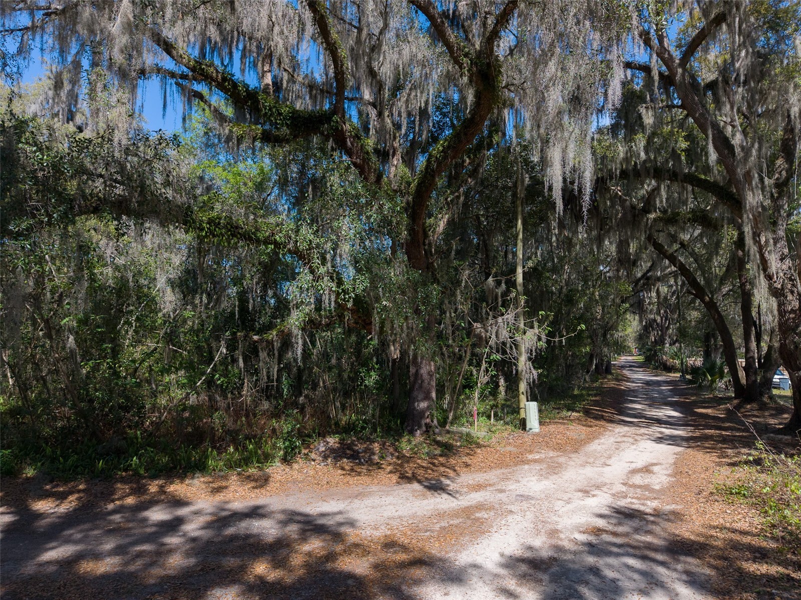 000 SE 73rd Terrace Hawthorne FL 32640 GC538726 image1