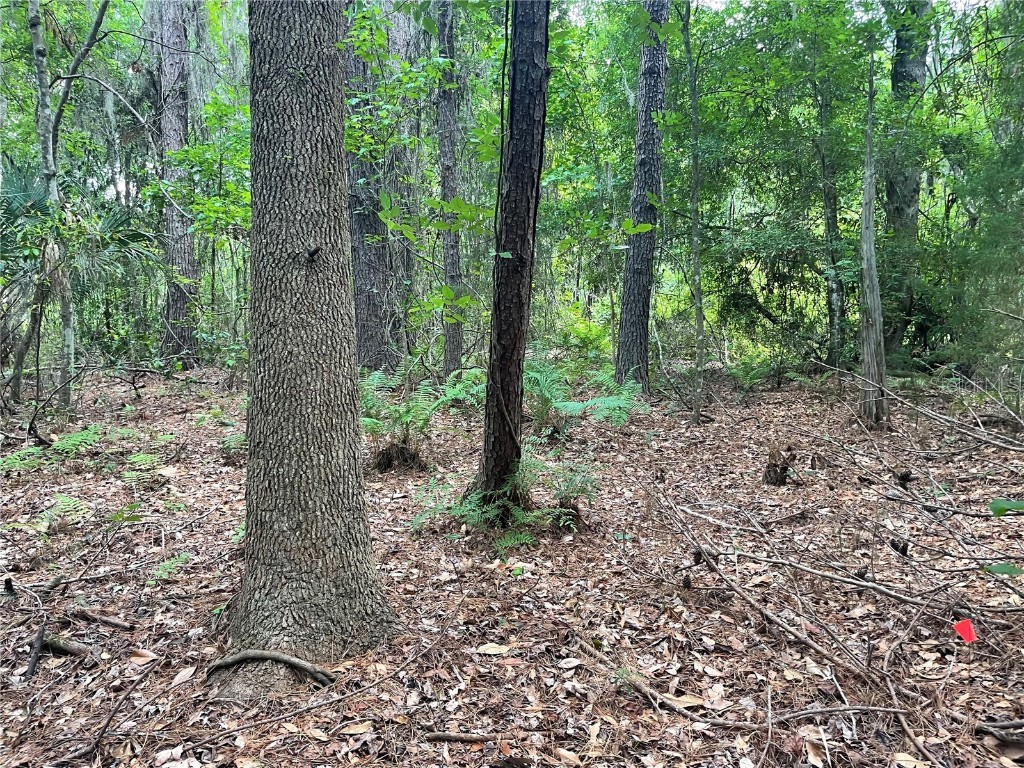 000 SE Hawthorne Road Hawthorne FL 32640 GC530946 image10