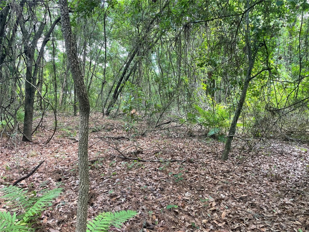 000 SE Hawthorne Road Hawthorne FL 32640 GC530946 image12