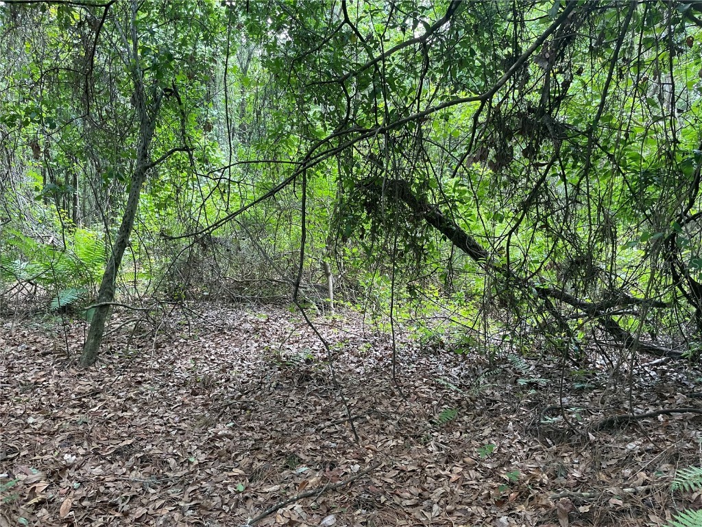 000 SE Hawthorne Road Hawthorne FL 32640 GC530946 image13