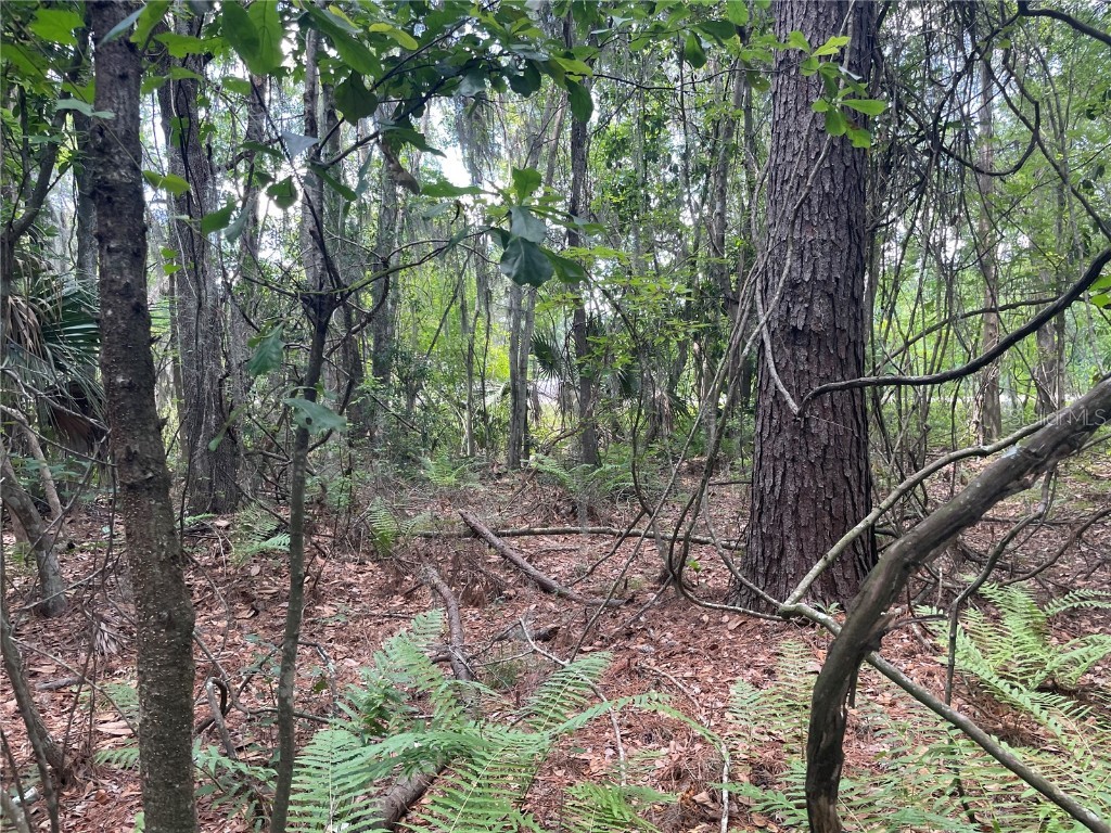 000 SE Hawthorne Road Hawthorne FL 32640 GC530946 image14