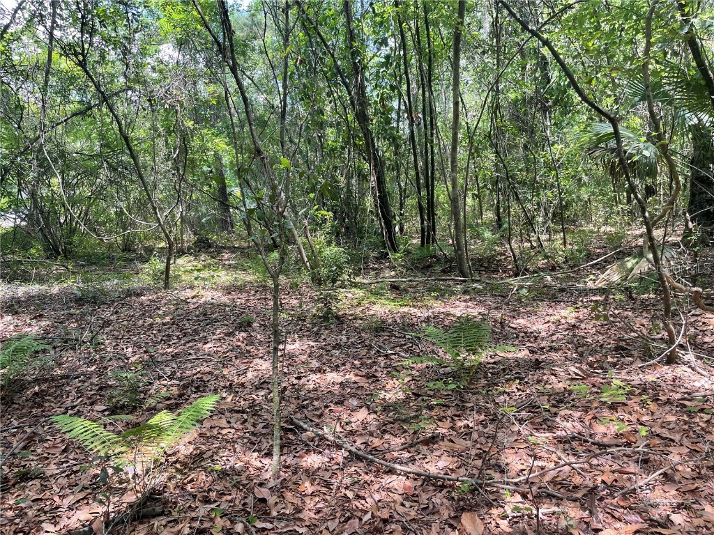 000 SE Hawthorne Road Hawthorne FL 32640 GC530946 image15