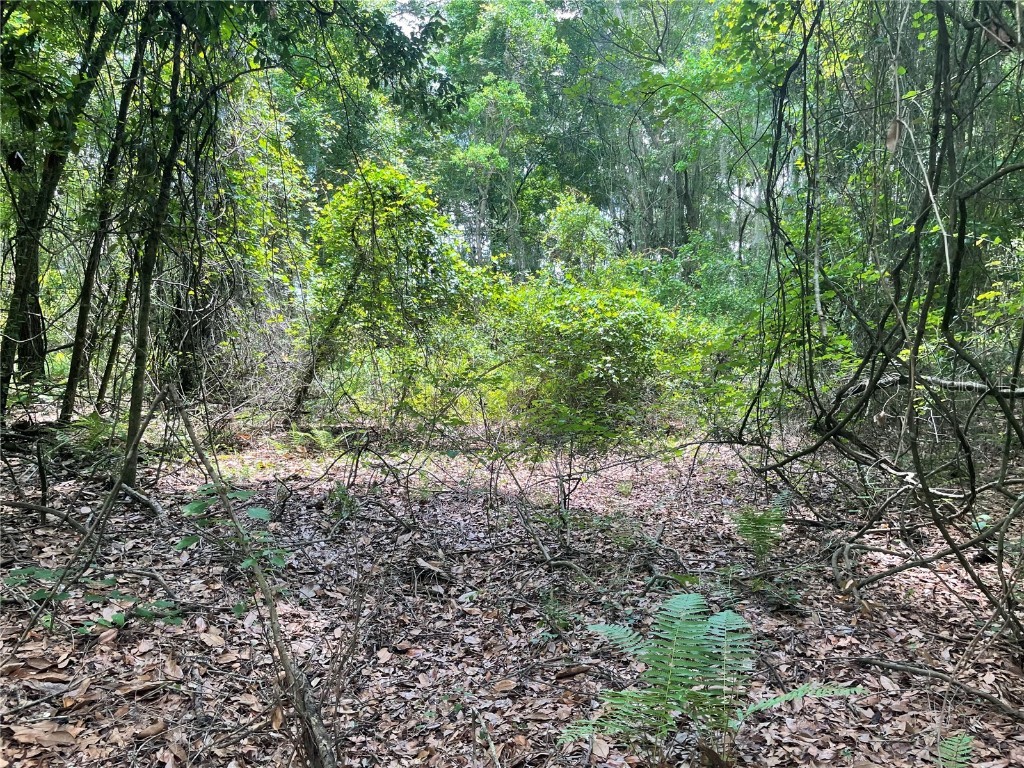 000 SE Hawthorne Road Hawthorne FL 32640 GC530946 image16