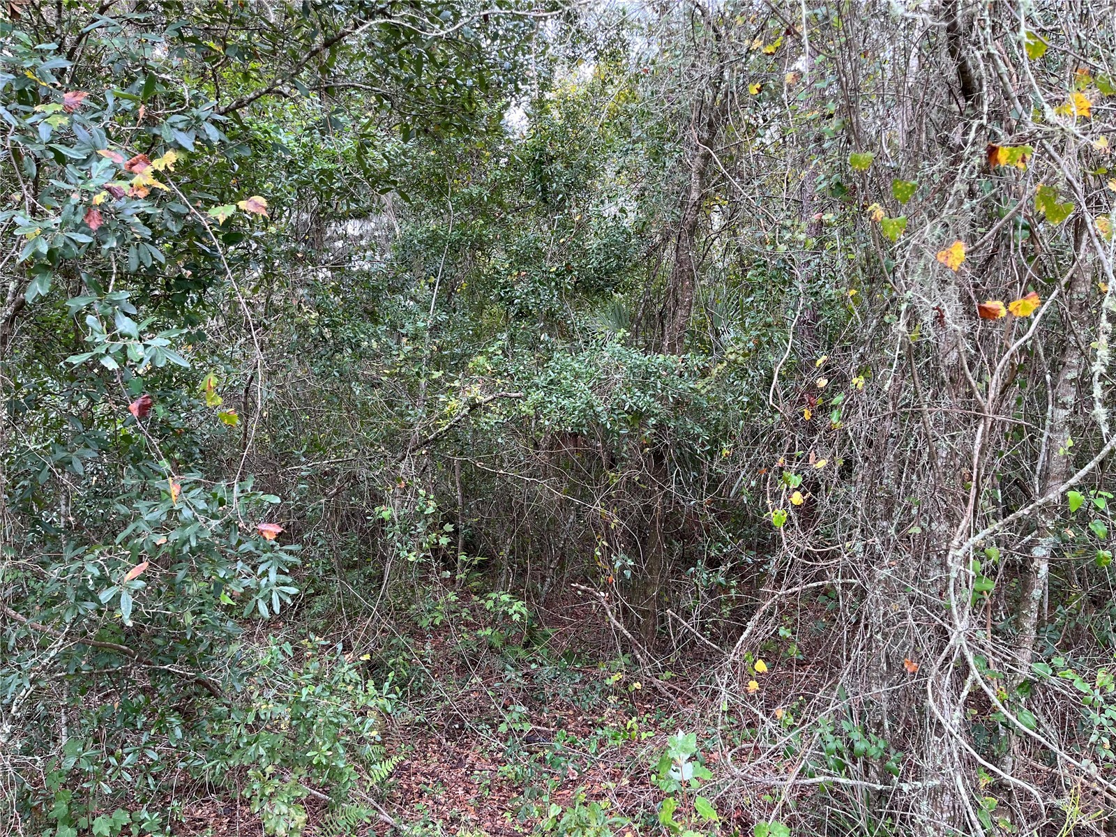 000 SE Hawthorne Road Hawthorne FL 32640 GC530946 image23