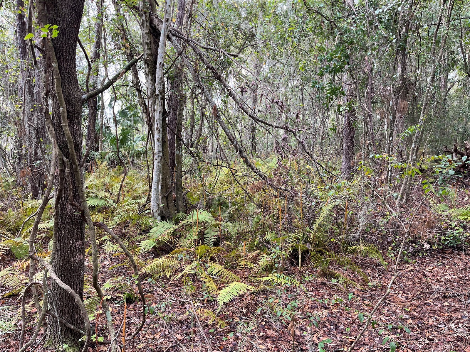 000 SE Hawthorne Road Hawthorne FL 32640 GC530946 image24