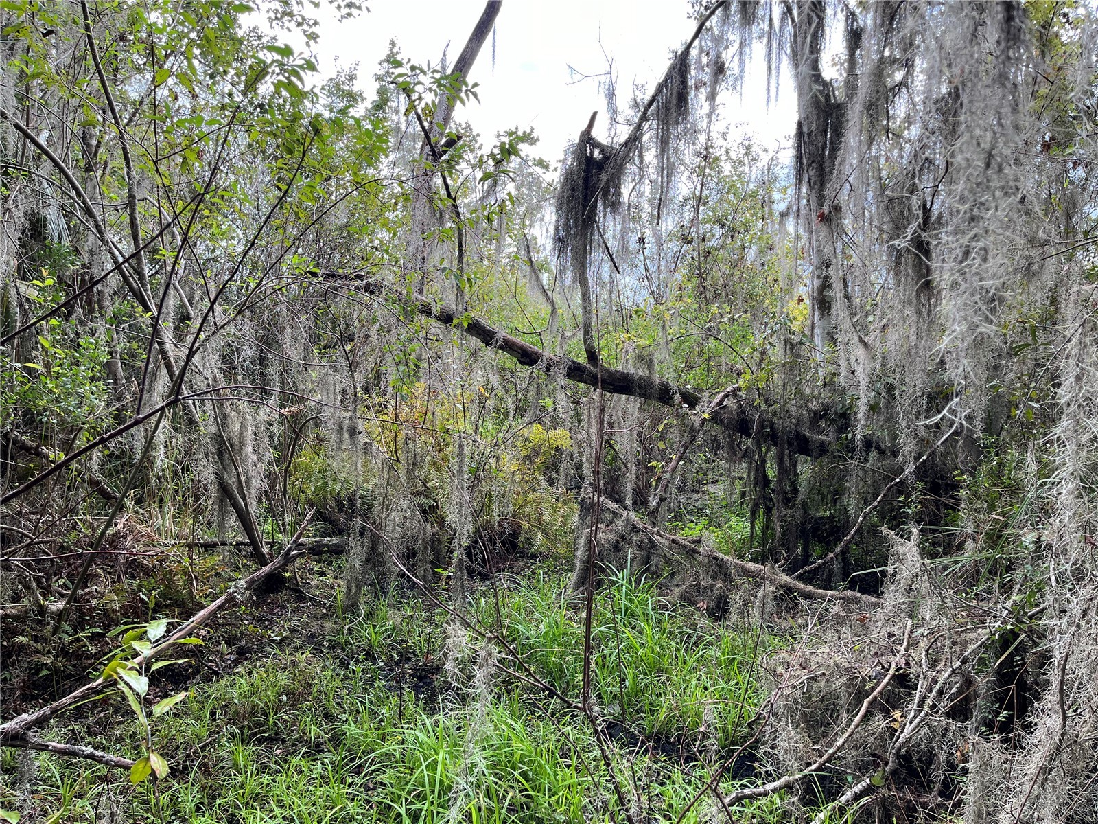 000 SE Hawthorne Road Hawthorne FL 32640 GC530946 image25