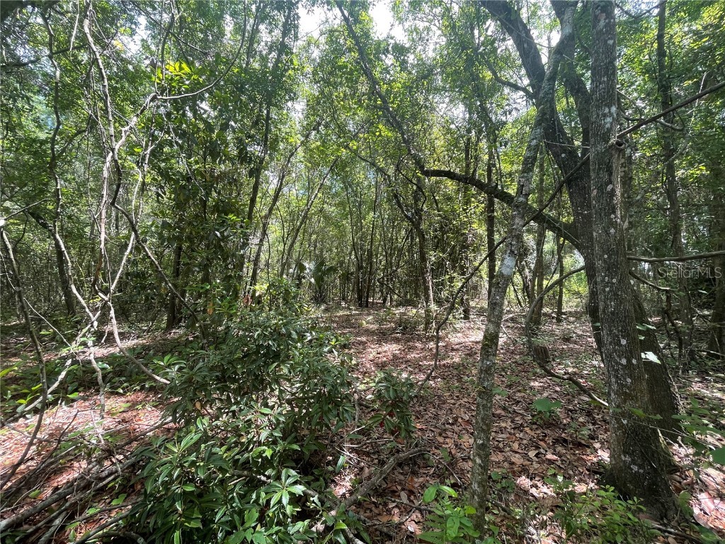 000 SE Hawthorne Road Hawthorne FL 32640 GC530946 image6