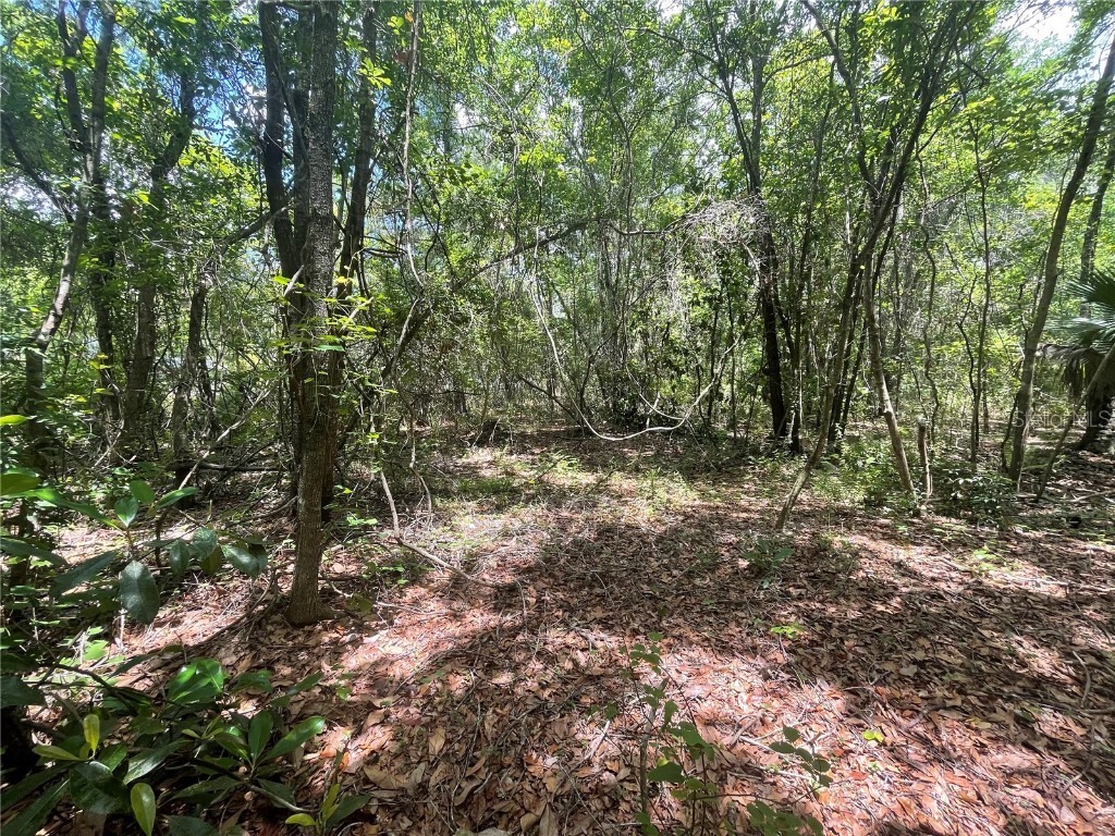 000 SE Hawthorne Road Hawthorne FL 32640 GC530946 image7