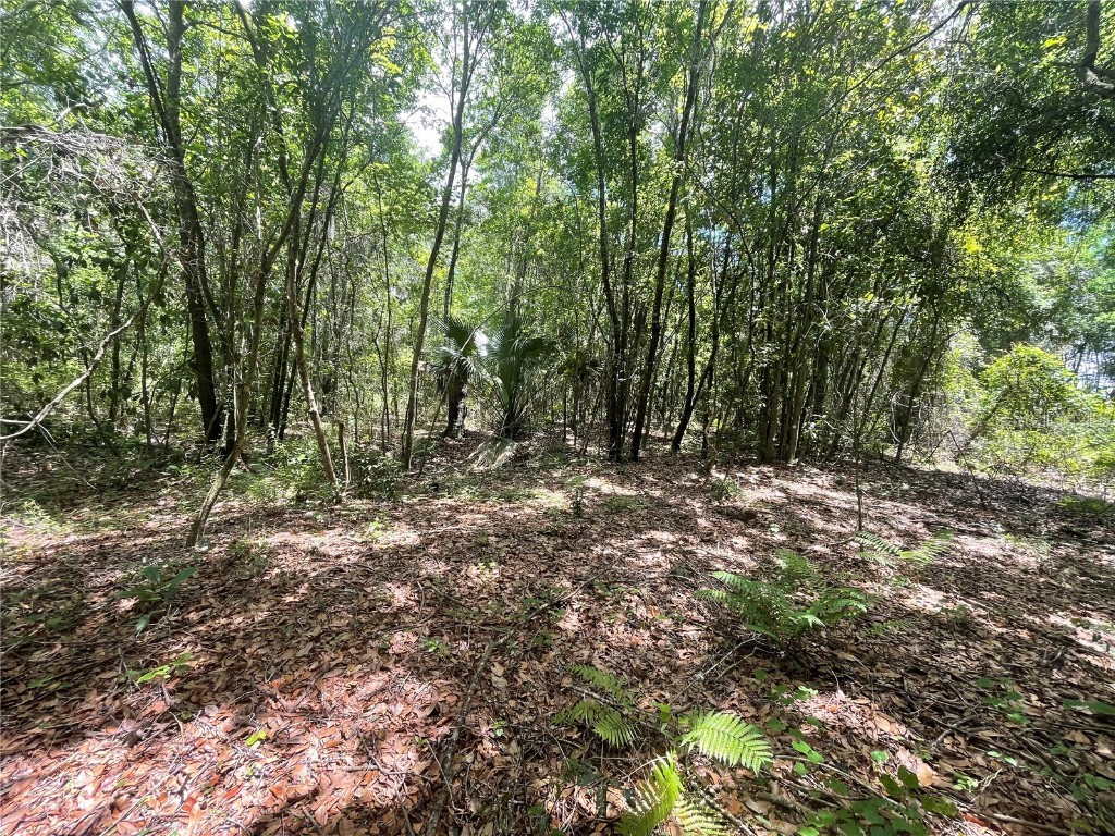 000 SE Hawthorne Road Hawthorne FL 32640 GC530946 image8