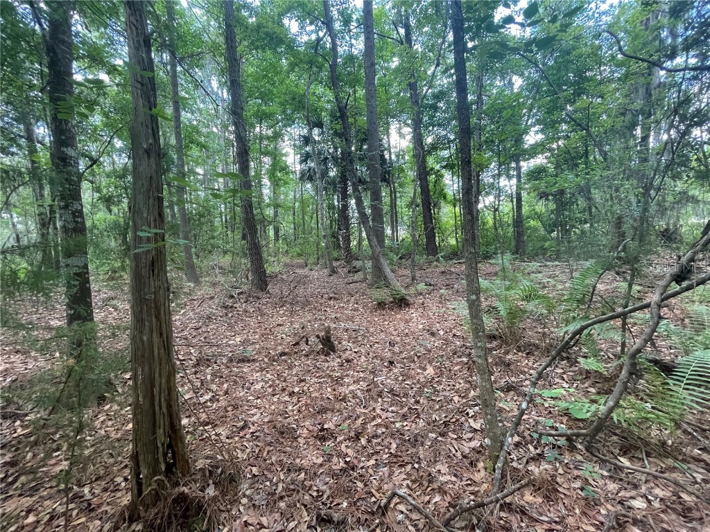 000 SE Hawthorne Road Hawthorne FL 32640 GC530946 image9