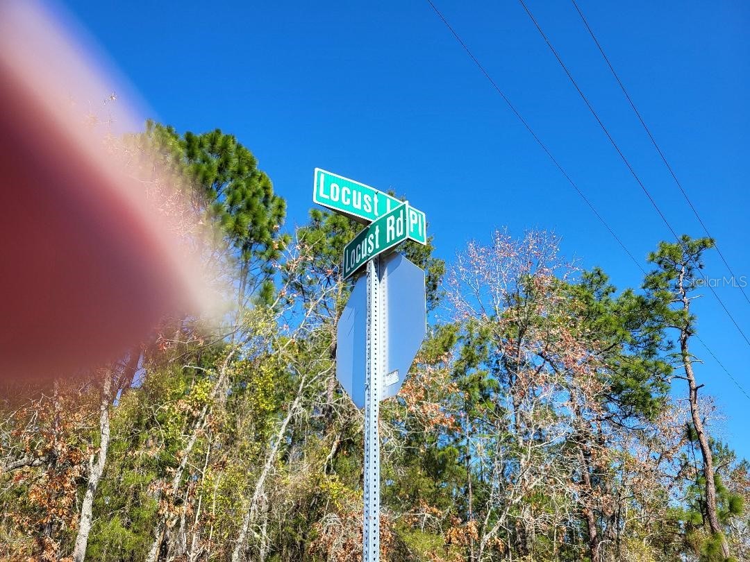 000 SE Locust Loop Place Ocala FL 34472 OM718258 image4