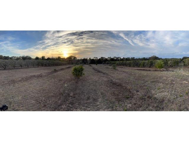 000 SE Se 165th Avenue Weirsdale FL 32195 G5093028 image3