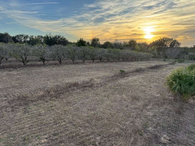 000 SE Se 165th Avenue Weirsdale FL 32195 G5093028 image5