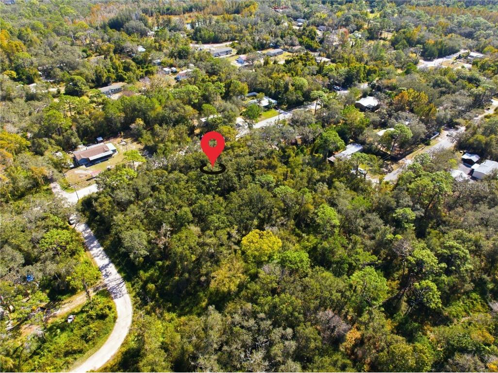 000 Shalimar Street New Port Richey FL 34654 W7880544 image1