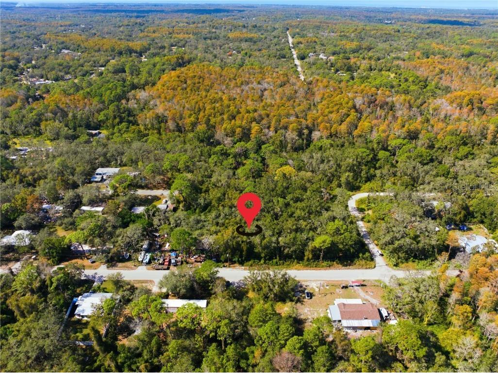 000 Shalimar Street New Port Richey FL 34654 W7880544 image10