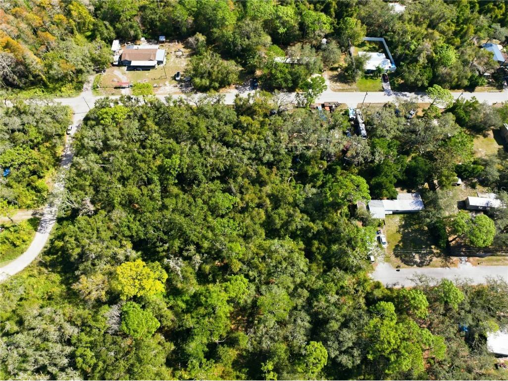 000 Shalimar Street New Port Richey FL 34654 W7880544 image11