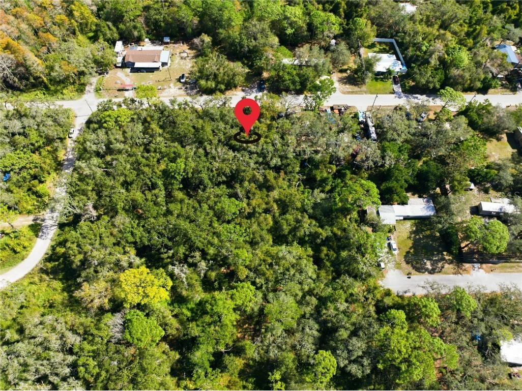 000 Shalimar Street New Port Richey FL 34654 W7880544 image12