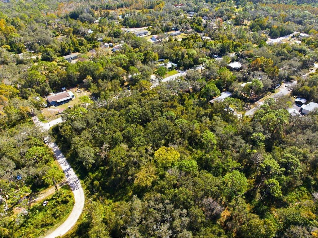 000 Shalimar Street New Port Richey FL 34654 W7880544 image13