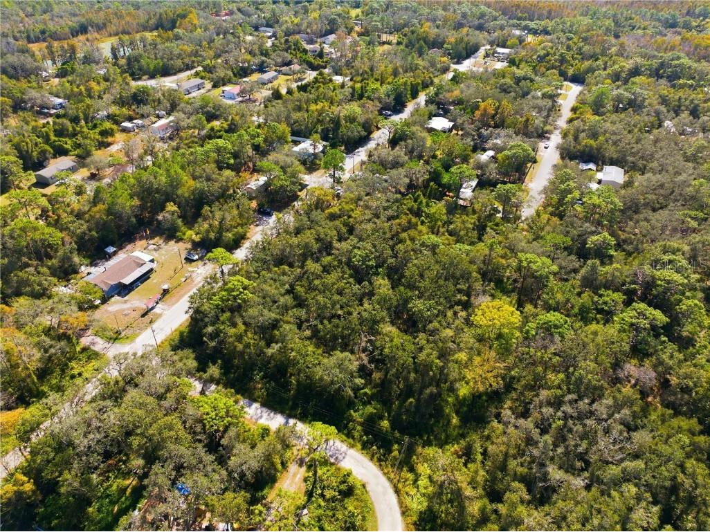 000 Shalimar Street New Port Richey FL 34654 W7880544 image14