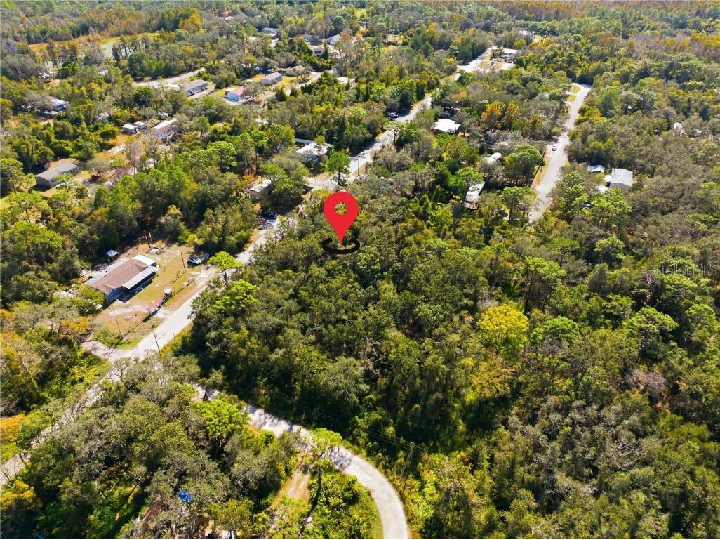 000 Shalimar Street New Port Richey FL 34654 W7880544 image15