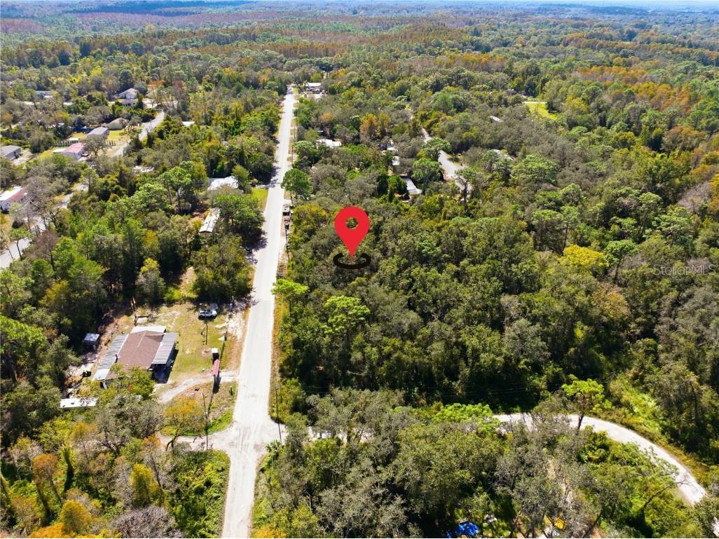 000 Shalimar Street New Port Richey FL 34654 W7880544 image17