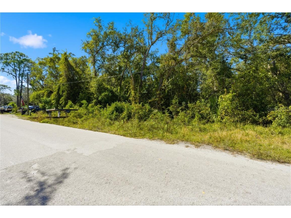 000 Shalimar Street New Port Richey FL 34654 W7880544 image2