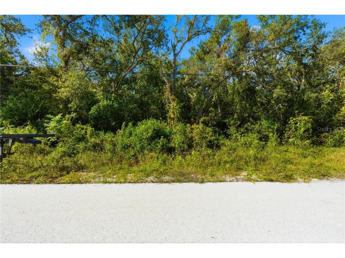 000 Shalimar Street New Port Richey FL 34654 W7880544 image3