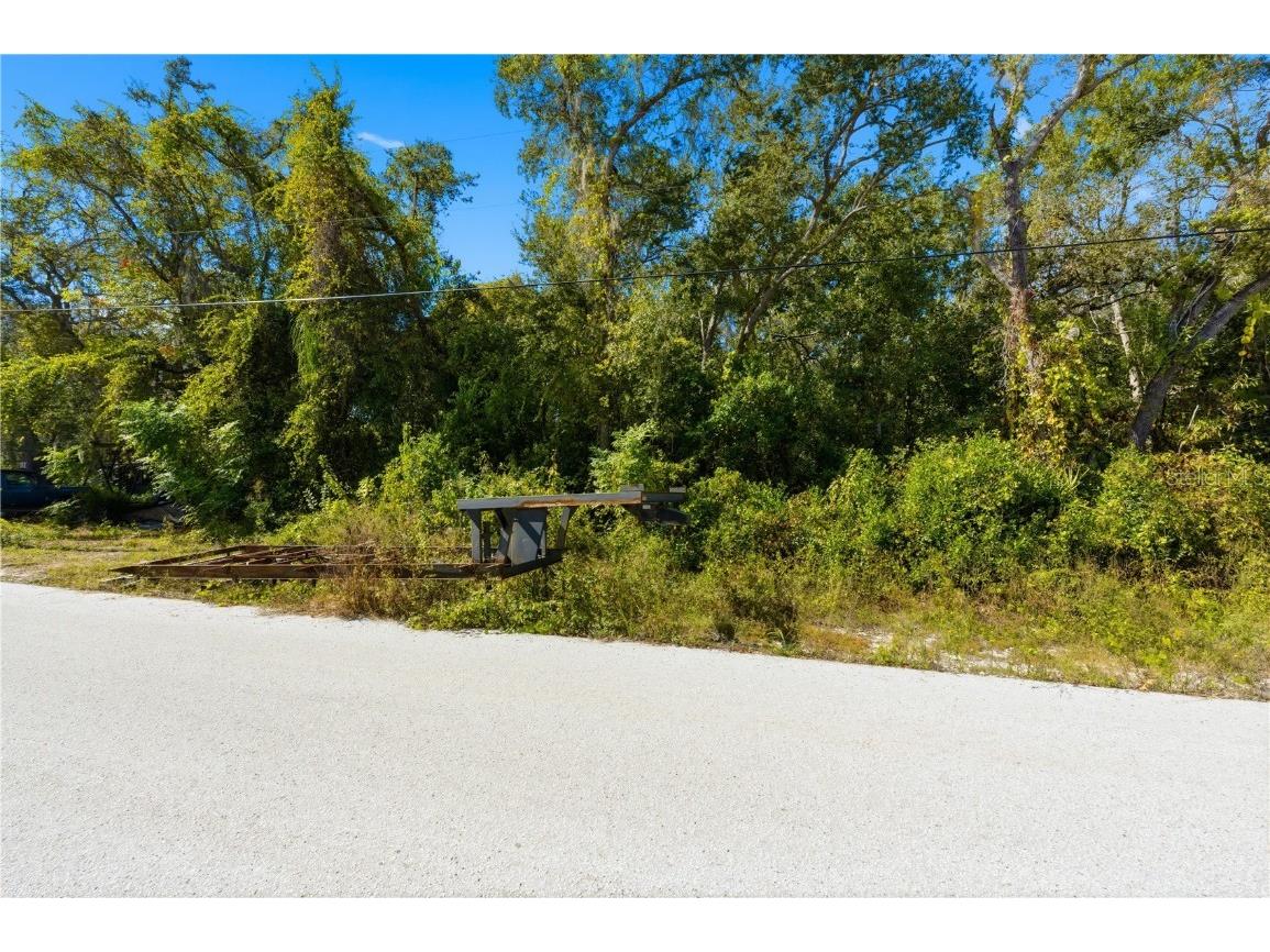 000 Shalimar Street New Port Richey FL 34654 W7880544 image4