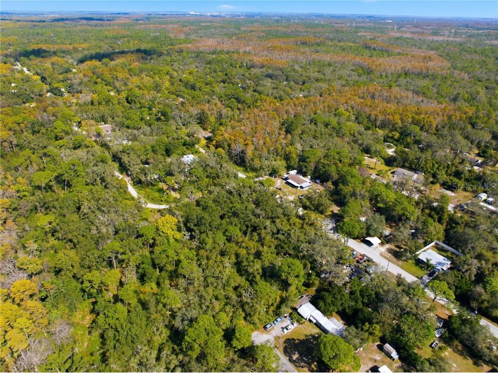 000 Shalimar Street New Port Richey FL 34654 W7880544 image6